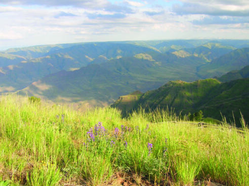 The Buckhorn Lookout in the Blue Mountains Ecoregion.