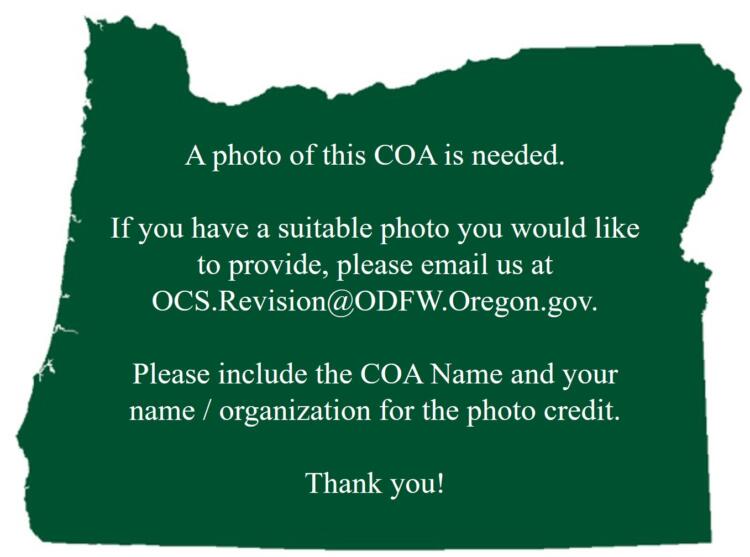 Photo is needed for this COA.