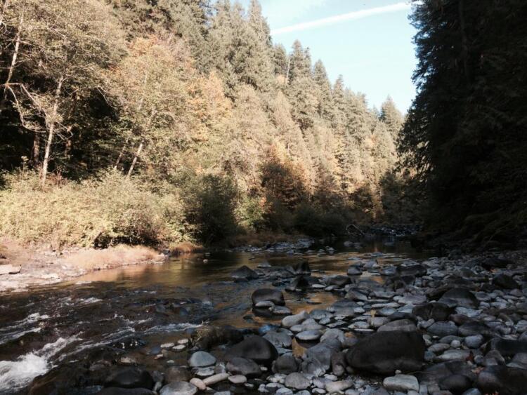 Little North Santiam River
