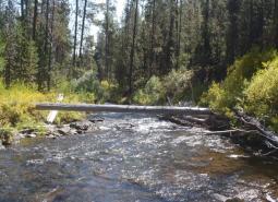 Long Creek/Coyote Creek/Silver Creek area