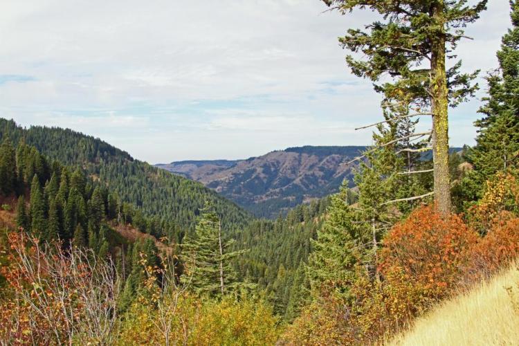Walla Walla River headwaters area