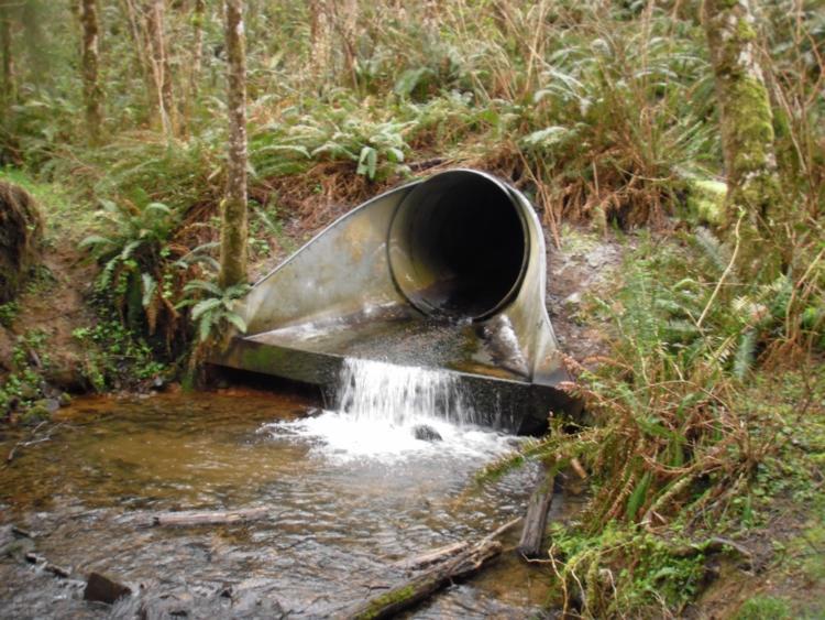 An undersized culvert near the Oregon Coast presents a barrier to fish and wildlife movement.