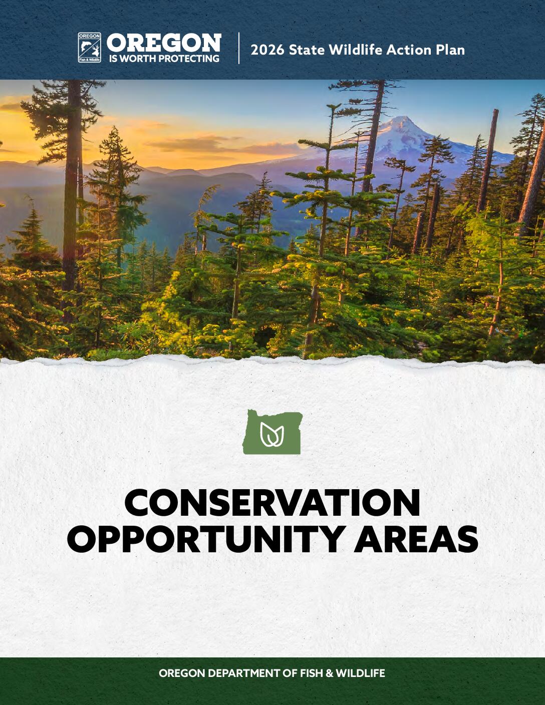 Conservation Opportunity Areas PDF preview