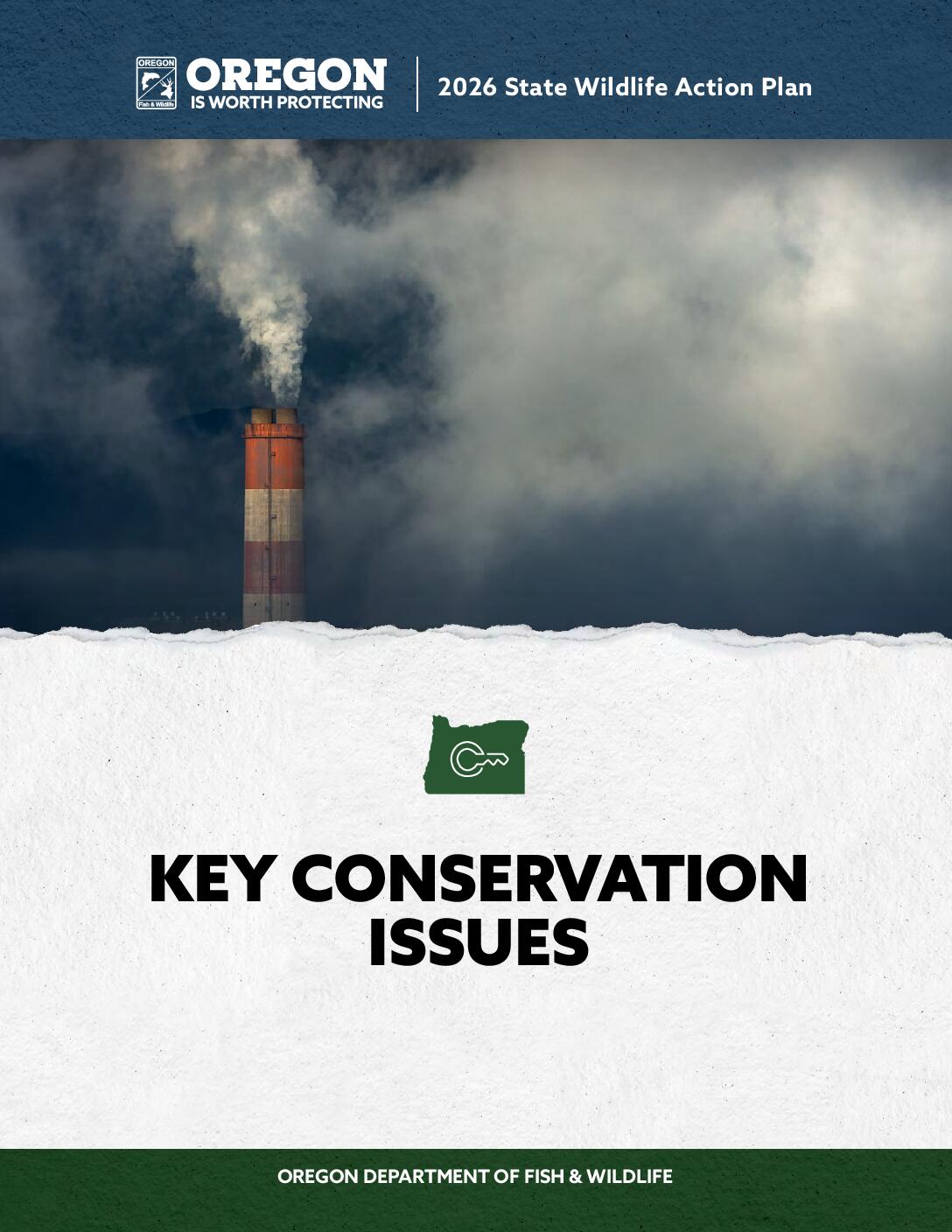 Key Conservation Issues PDF preview