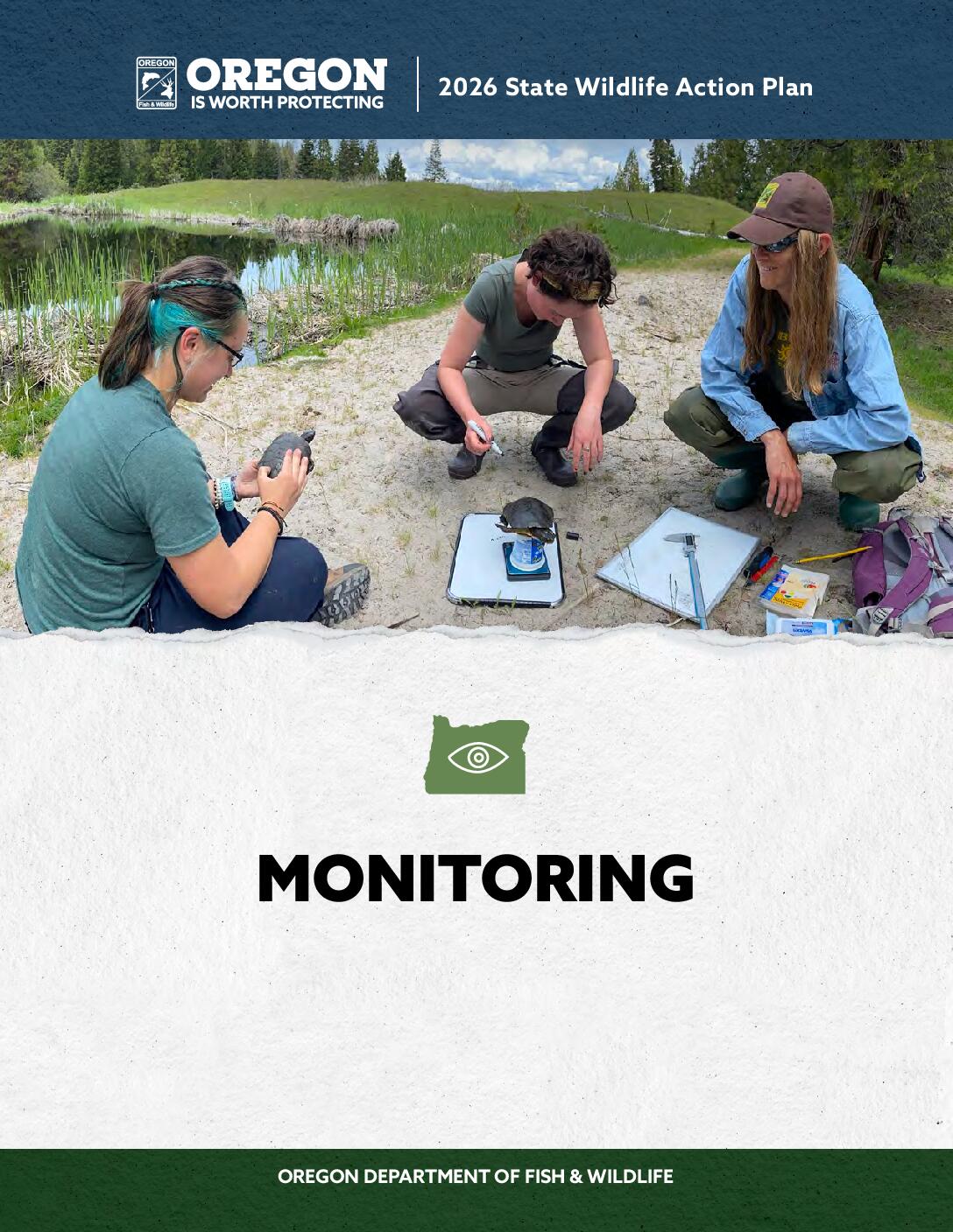 Monitoring PDF preview