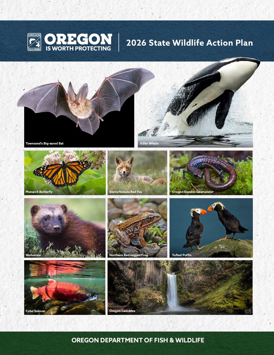 Overview PDF preview