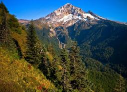 West Cascades Ecoregion