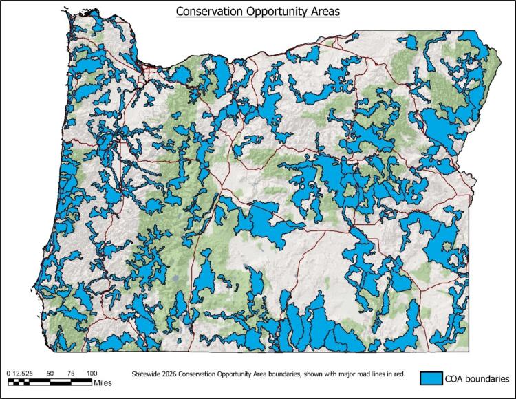 Figure 1: Map of statewide Conservation Opportunity Areas (blue).